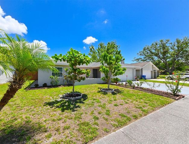 6705 RANGER DRIVE, Tampa, FL 33615