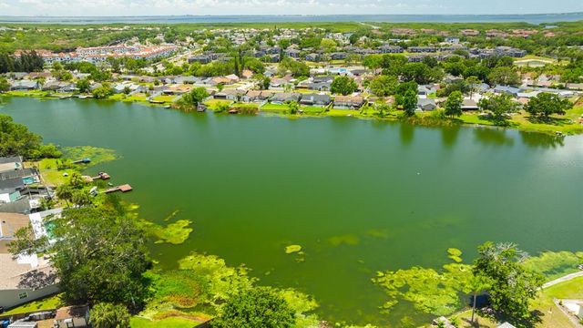 6705 RANGER DRIVE, Tampa, FL 33615