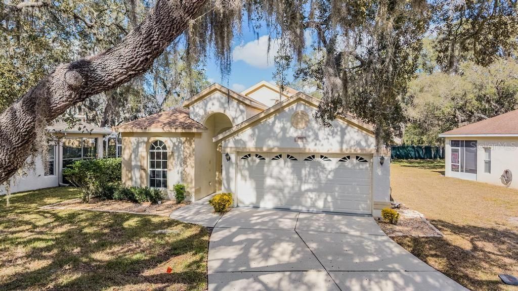16501 SANDHILL CRANE DRIVE, Spring Hill, FL 34610