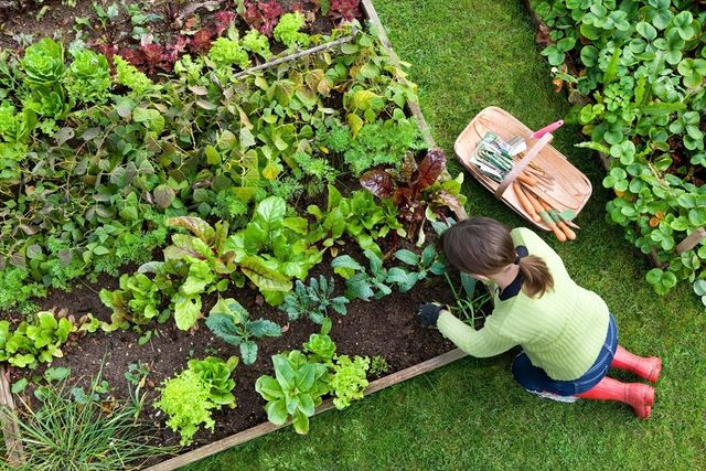 0 Oxbow Road 39-3, Raynham, MA 02767