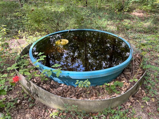 10140 County Road 6610, West Plains, MO 65775