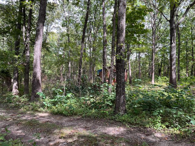 10140 County Road 6610, West Plains, MO 65775