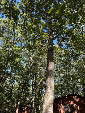 10140 County Road 6610, West Plains, MO 65775