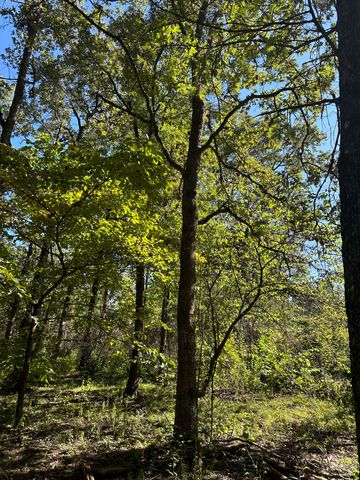 10140 County Road 6610, West Plains, MO 65775