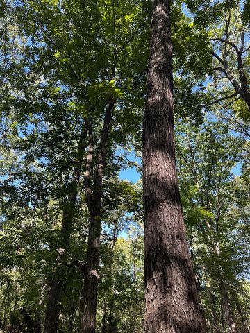 10140 County Road 6610, West Plains, MO 65775