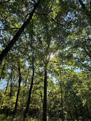 10140 County Road 6610, West Plains, MO 65775