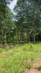 16414 Old Coach Road Drive, Stagecoach, TX 77355