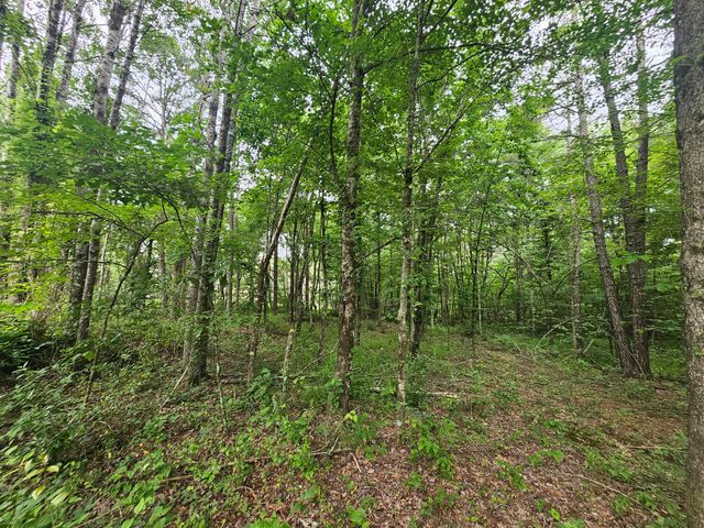 229 Windstone Drive, Tracy City, TN 37387