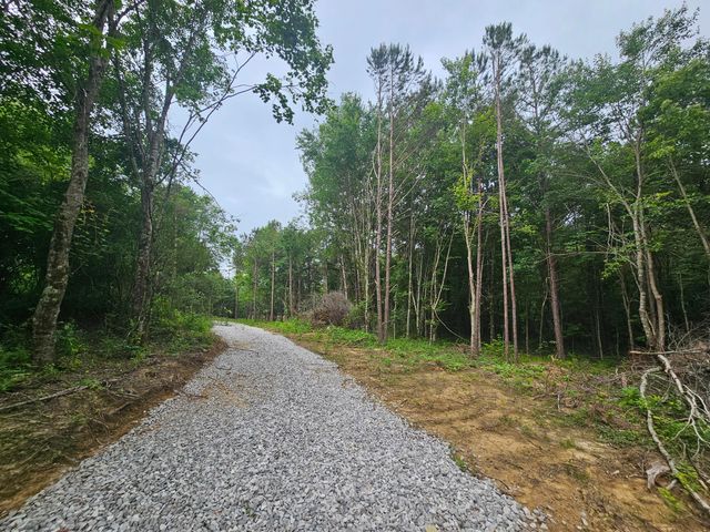 229 Windstone Drive, Tracy City, TN 37387