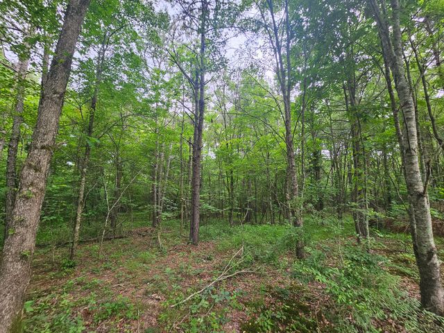 229 Windstone Drive, Tracy City, TN 37387
