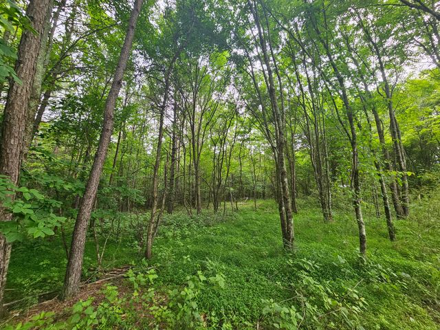 229 Windstone Drive, Tracy City, TN 37387