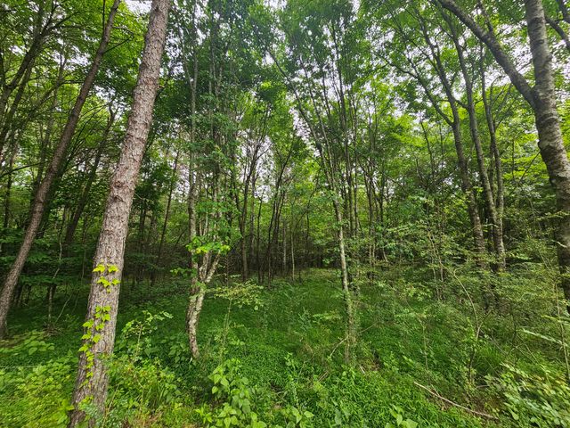229 Windstone Drive, Tracy City, TN 37387