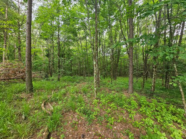 229 Windstone Drive, Tracy City, TN 37387