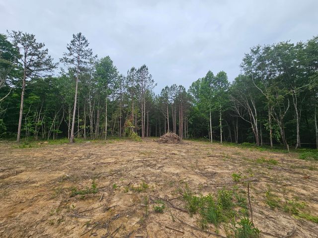 229 Windstone Drive, Tracy City, TN 37387