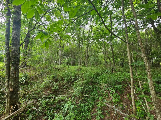 229 Windstone Drive, Tracy City, TN 37387