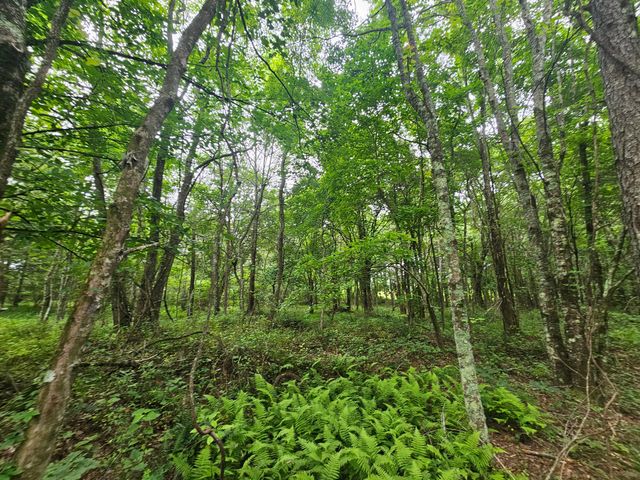 229 Windstone Drive, Tracy City, TN 37387