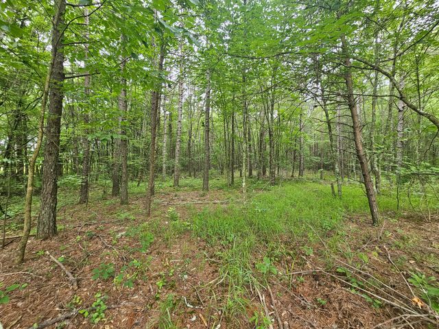 229 Windstone Drive, Tracy City, TN 37387