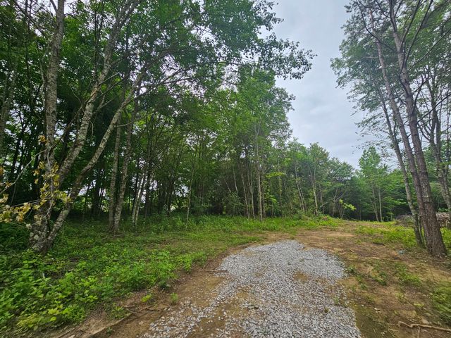 229 Windstone Drive, Tracy City, TN 37387