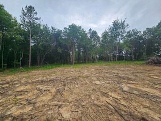 229 Windstone Drive, Tracy City, TN 37387