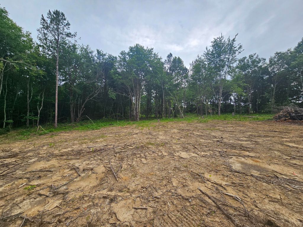 229 Windstone Drive, Tracy City, TN 37387