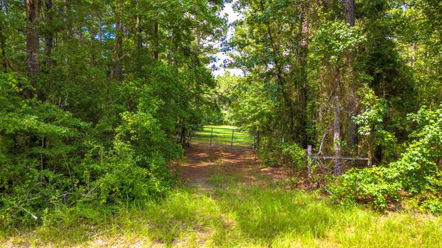 45 Acres Fm 229, Crockett, TX 75835