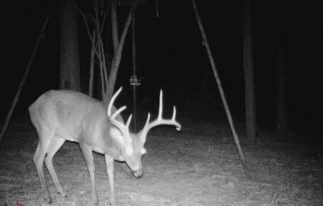 45 Acres Fm 229, Crockett, TX 75835