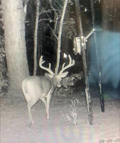 45 Acres Fm 229, Crockett, TX 75835