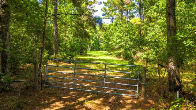 45 Acres Fm 229, Crockett, TX 75835