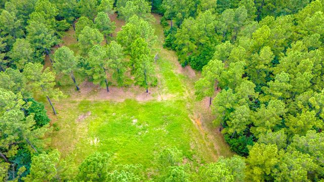 45 Acres Fm 229, Crockett, TX 75835