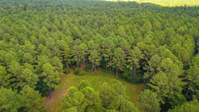 45 Acres Fm 229, Crockett, TX 75835