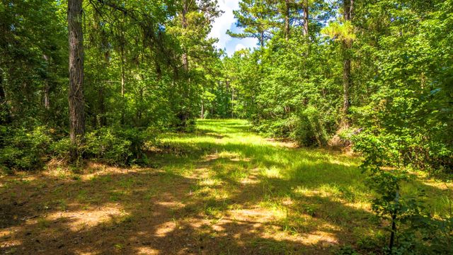 45 Acres Fm 229, Crockett, TX 75835