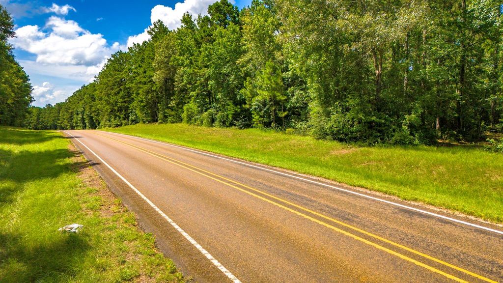 45 Acres Fm 229, Crockett, TX 75835