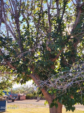 4901 W CHURELLA Trail, Double Adobe, AZ 85617