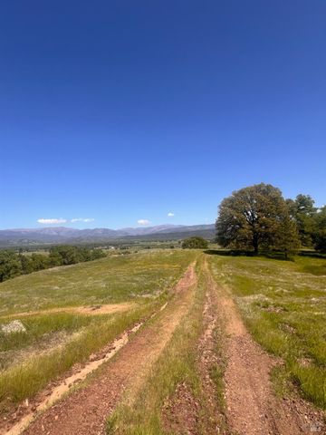 23040 Poonkinney Rd, Covelo, CA 95428