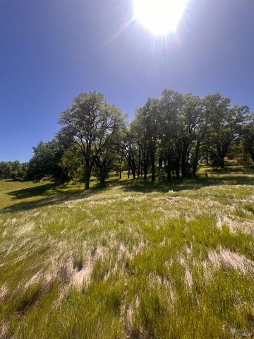 23040 Poonkinney Rd, Covelo, CA 95428