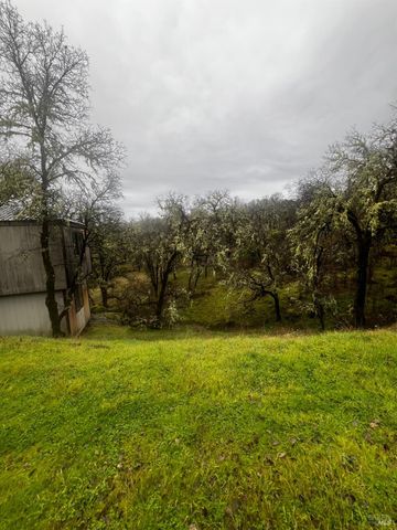 23040 Poonkinney Rd, Covelo, CA 95428