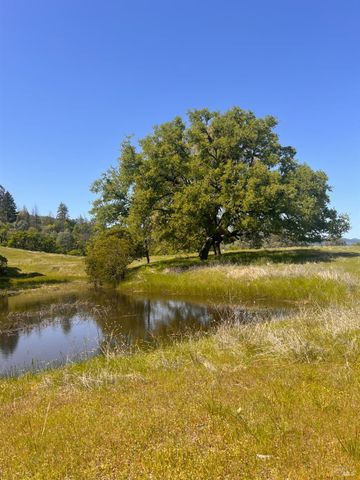 23040 Poonkinney Rd, Covelo, CA 95428