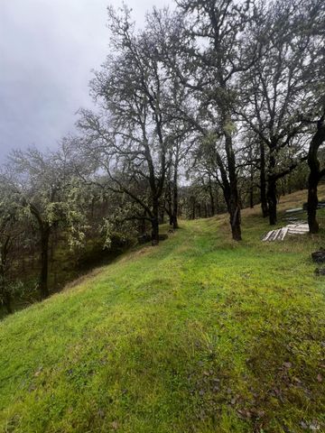 23040 Poonkinney Rd, Covelo, CA 95428