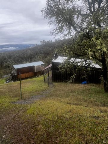 23040 Poonkinney Rd, Covelo, CA 95428