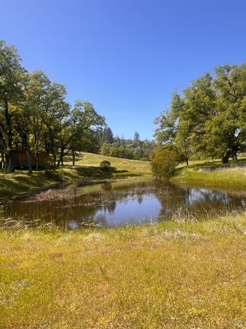 23040 Poonkinney Rd, Covelo, CA 95428