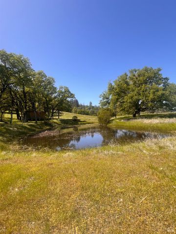 23040 Poonkinney Rd, Covelo, CA 95428