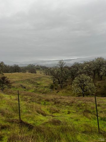 23040 Poonkinney Rd, Covelo, CA 95428