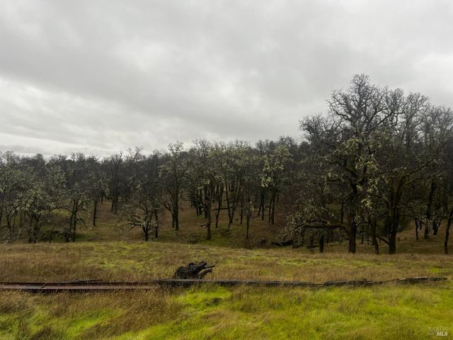 23040 Poonkinney Rd, Covelo, CA 95428