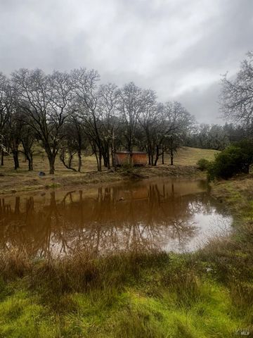 23040 Poonkinney Rd, Covelo, CA 95428