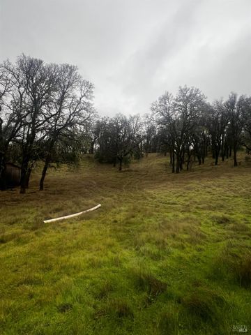 23040 Poonkinney Rd, Covelo, CA 95428