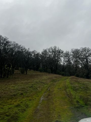 23040 Poonkinney Rd, Covelo, CA 95428