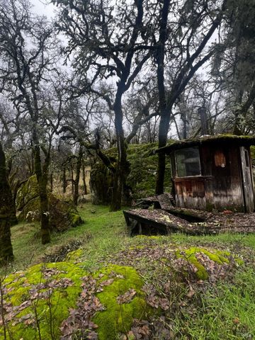 23040 Poonkinney Rd, Covelo, CA 95428