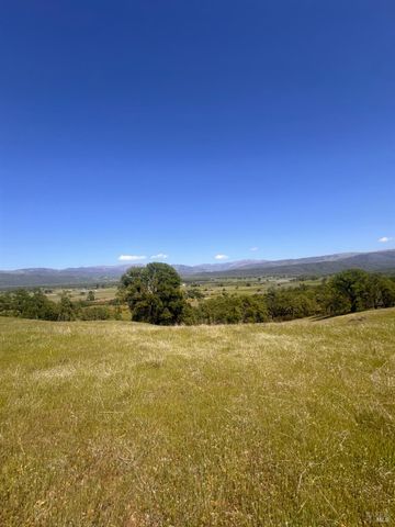 23040 Poonkinney Rd, Covelo, CA 95428