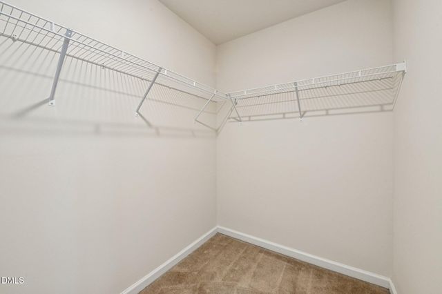 1115 Rocketcress Drive, Durham, NC 27713