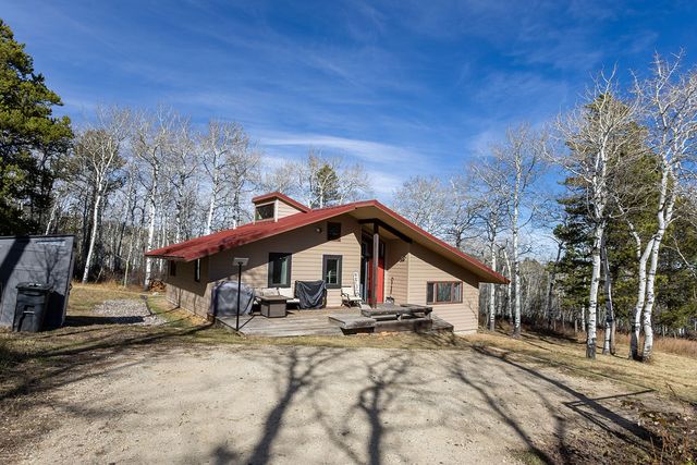 16 Kinikinic Trail, Red Lodge, MT 59068 property photo